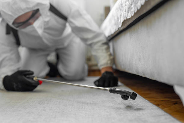 Professional Bed Bug Control technician working in Granbury, TX