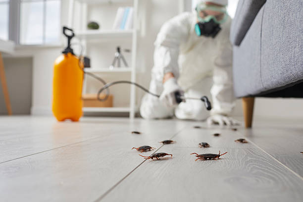 Trusted Rodent Control service in Granbury, TX - Nex Pest Control